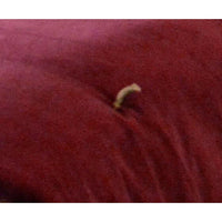 Thumbnail for Luxury Mulberry Velvet Bed Runner/throw