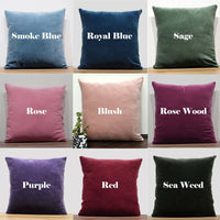 Thumbnail for Luxury Cotton Velvet Cushion Cover With pippin