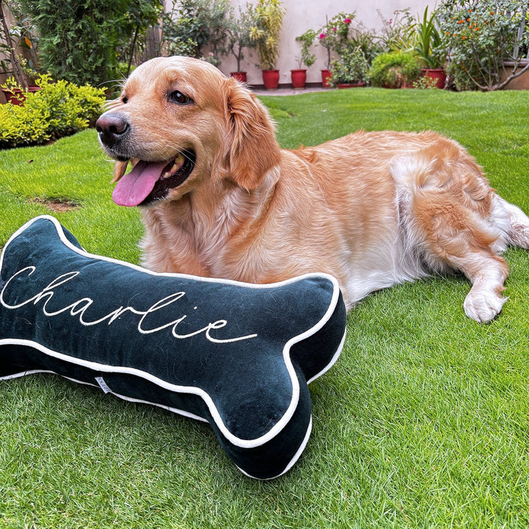 Dog bone shaped velvet pillow with custom name embroidery, side view