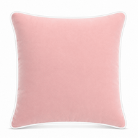 Thumbnail for Blush White piping Cotton Velvet Cushion Cover