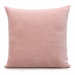 Thumbnail for Blush Cotton Velvet Cushion Cover