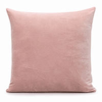 Thumbnail for Blush Cotton Velvet Cushion Cover