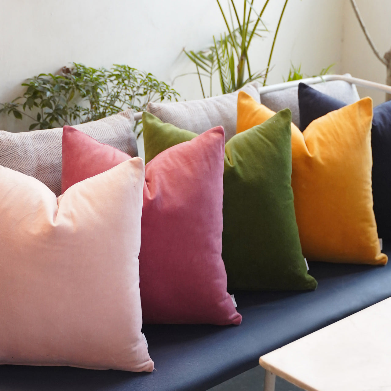 Luxury Cotton Velvet Cushion Cover