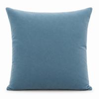 Thumbnail for Dusty Sky Cotton Velvet Cushion Cover