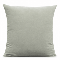 Thumbnail for Mist Cotton Velvet Cushion Cover