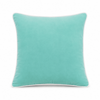 Thumbnail for Turquoise White piping Cotton Velvet Cushion Cover