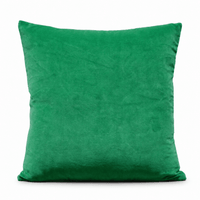 Thumbnail for Jade Green Cotton Velvet Cushion Cover