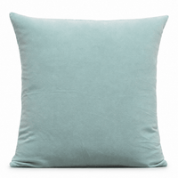 Thumbnail for Mint Blue Cotton Velvet Cushion Cover