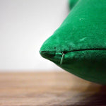 Thumbnail for Jade Green Cotton Velvet Cushion Cover