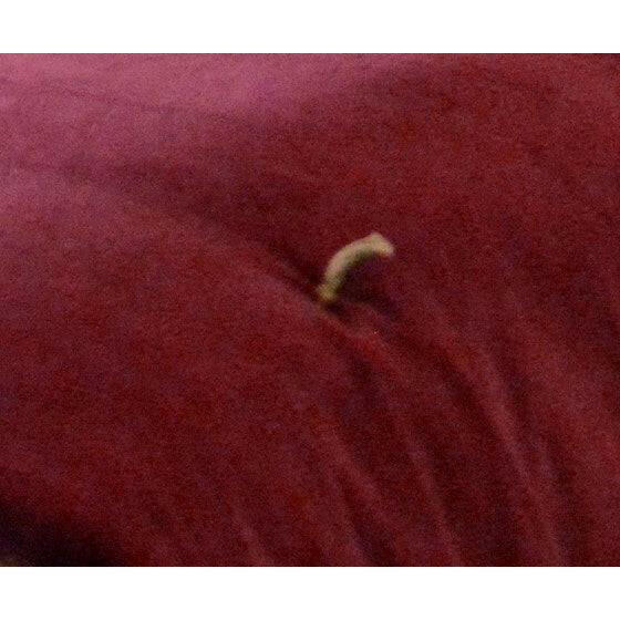 Luxury Mulberry Velvet Bed Runner/throw