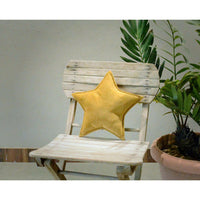 Thumbnail for Velvet Star Shaped Cushion